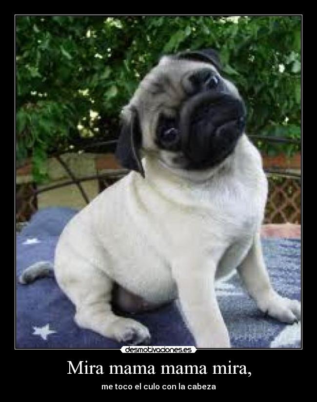 Mira mama mama mira, -