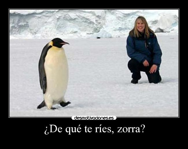 ¿De qué te ríes, zorra? - 