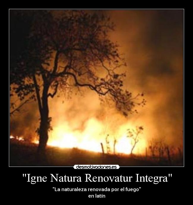 Igne Natura Renovatur Integra - La naturaleza renovada por el fuego
en latín