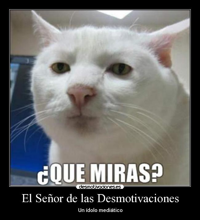 El Señor de las Desmotivaciones - Un ídolo mediático