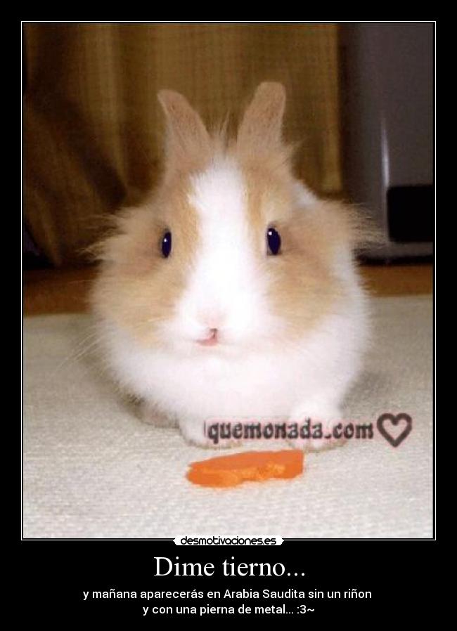 Dime tierno... - y mañana aparecerás en Arabia Saudita sin un riñon 
y con una pierna de metal... :3~
