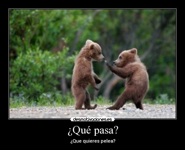 ¿Qué pasa? - 