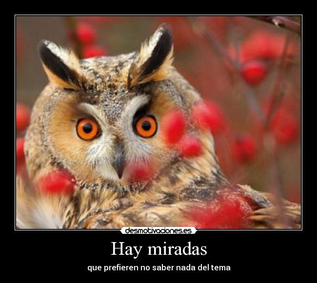 Hay miradas - 