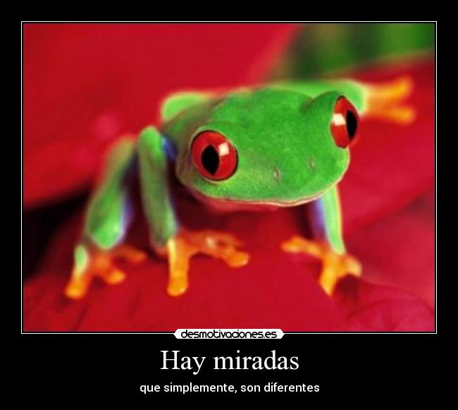 Hay miradas - que simplemente, son diferentes