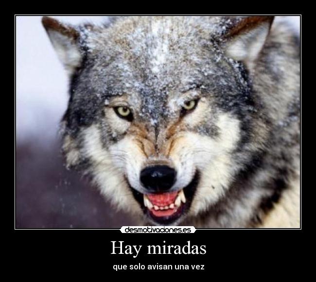 Hay miradas - que solo avisan una vez