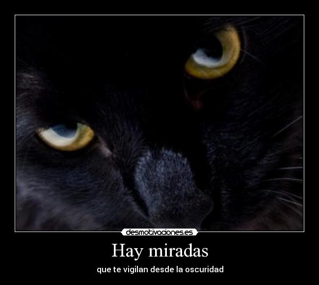 Hay miradas - 