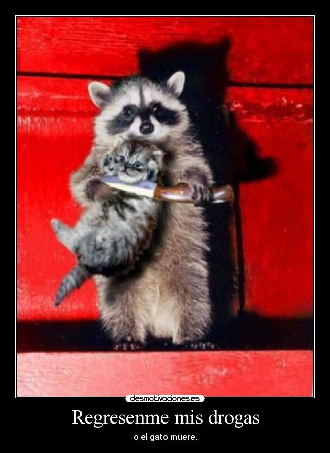 Regresenme mis drogas - 