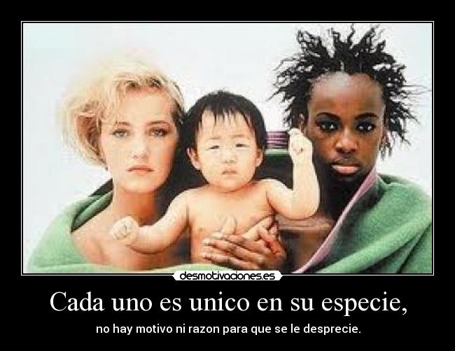 carteles racismo noo desmotivaciones