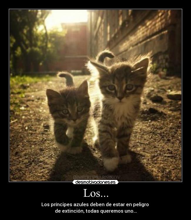 Los... - Los príncipes azules deben de estar en peligro
de extinción, todas queremos uno...