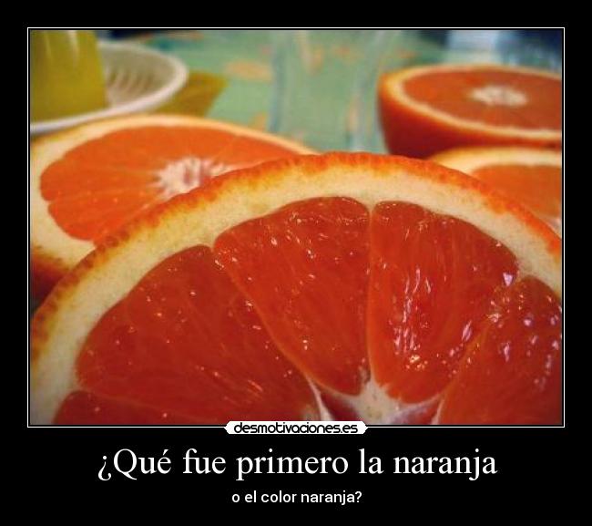 ¿Qué fue primero la naranja - 