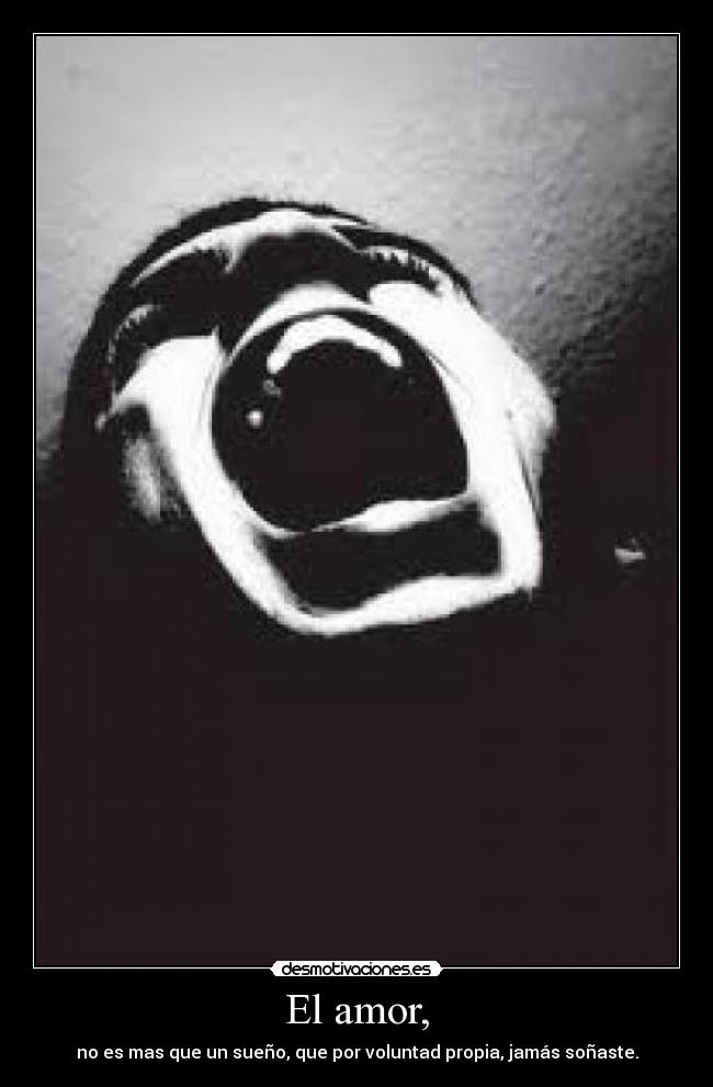 carteles amor drugar tema hoy menos hablar mas follar desmotivaciones