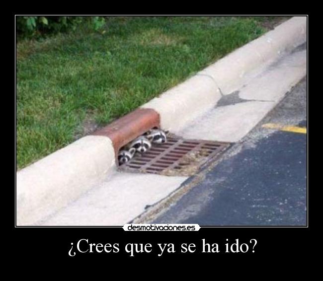 ¿Crees que ya se ha ido? -