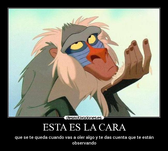 ESTA ES LA CARA -