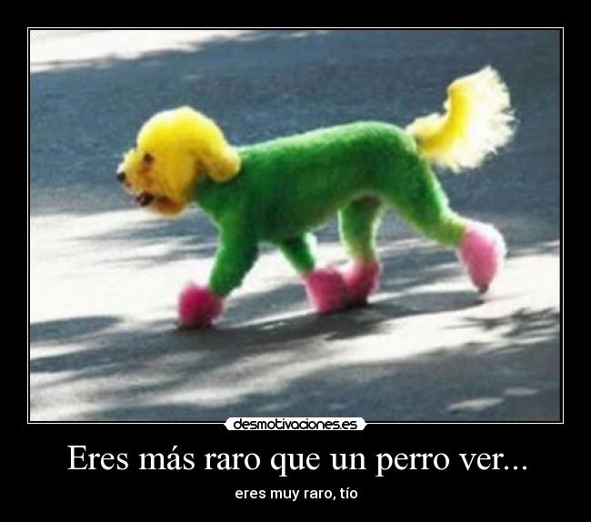 Eres más raro que un perro ver... -