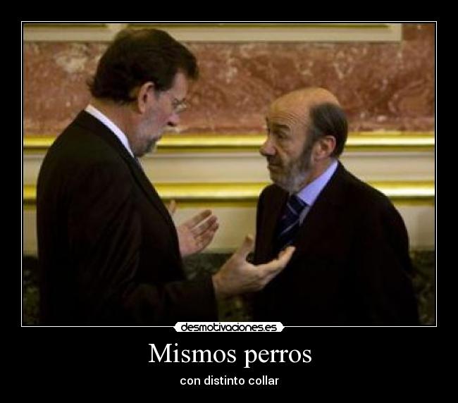 Mismos perros - con distinto collar