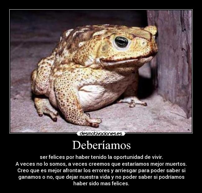 Deberíamos - ser felices por haber tenido la oportunidad de vivir.
A veces no lo somos, a veces creemos que estaríamos mejor muertos.
Creo que es mejor afrontar los errores y arriesgar para poder saber si
ganamos o no, que dejar nuestra vida y no poder saber si podríamos
haber sido mas felices.