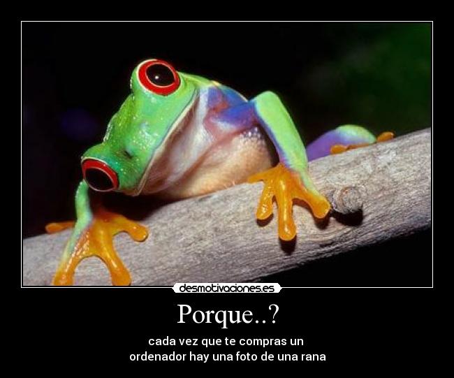 Porque..? - 
