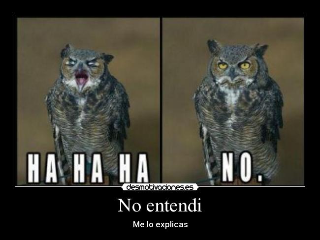 No entendi - Me lo explicas