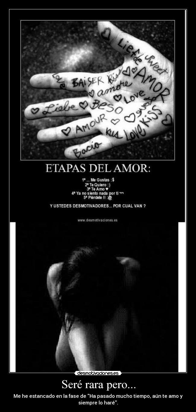 Seré rara pero... - 