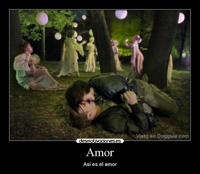 Amor - 