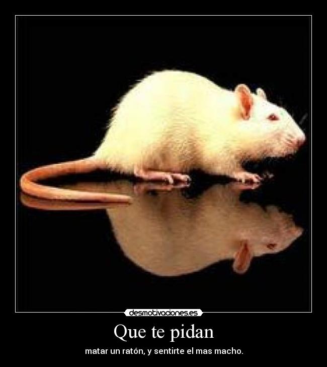 Que te pidan - matar un ratón, y sentirte el mas macho.