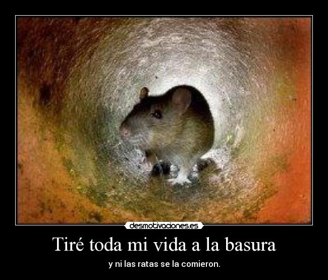Tiré toda mi vida a la basura - y ni las ratas se la comieron.