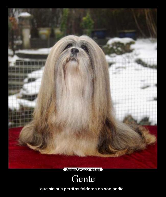 Gente - que sin sus perritos falderos no son nadie...