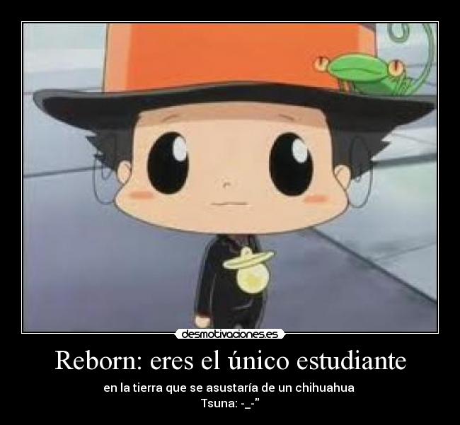 Reborn: eres el único estudiante - 