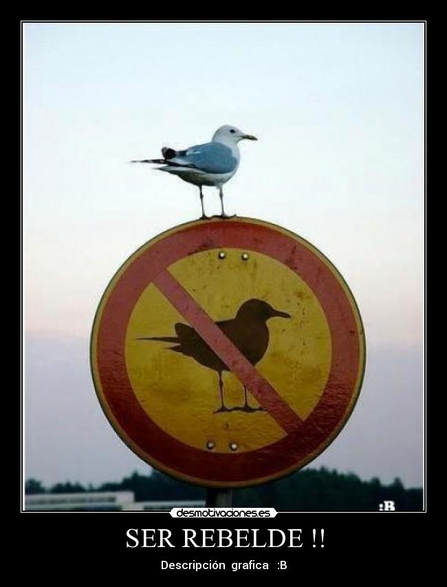 SER REBELDE !! - 