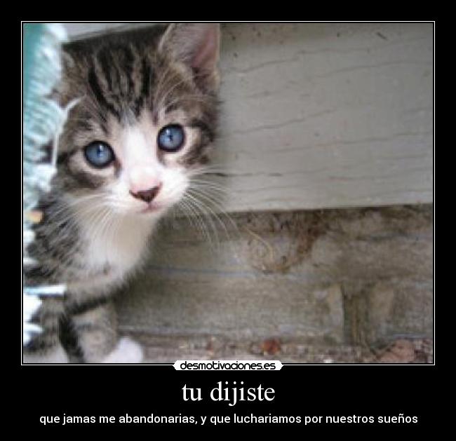 tu dijiste - que jamas me abandonarias, y que luchariamos por nuestros sueños