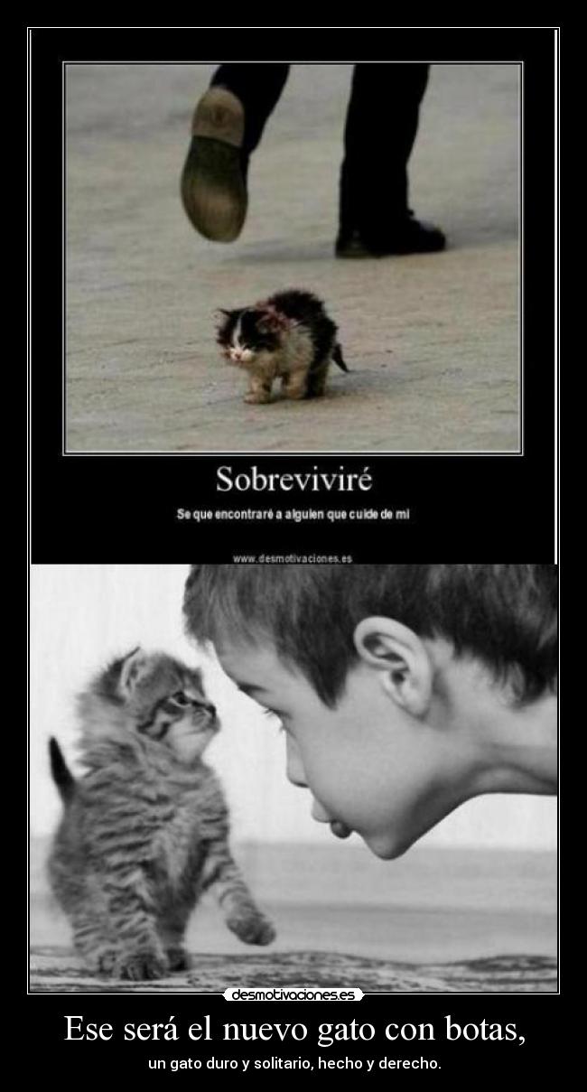 Ese será el nuevo gato con botas, - un gato duro y solitario, hecho y derecho.