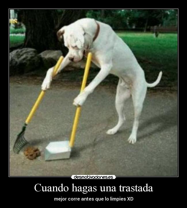 Cuando hagas una trastada - 