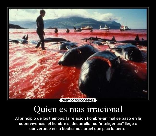Quien es mas irracional -
