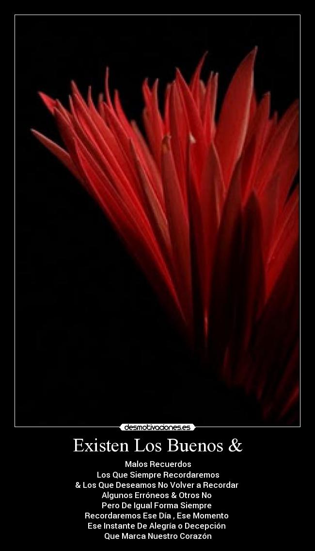 Existen Los Buenos & - 