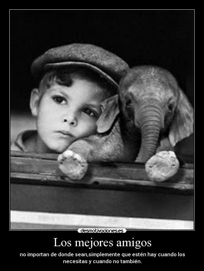 Los mejores amigos -