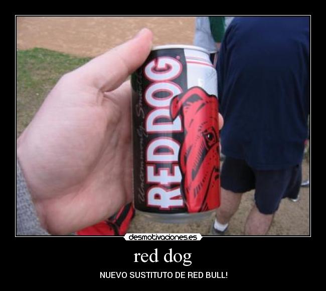 red dog - NUEVO SUSTITUTO DE RED BULL!