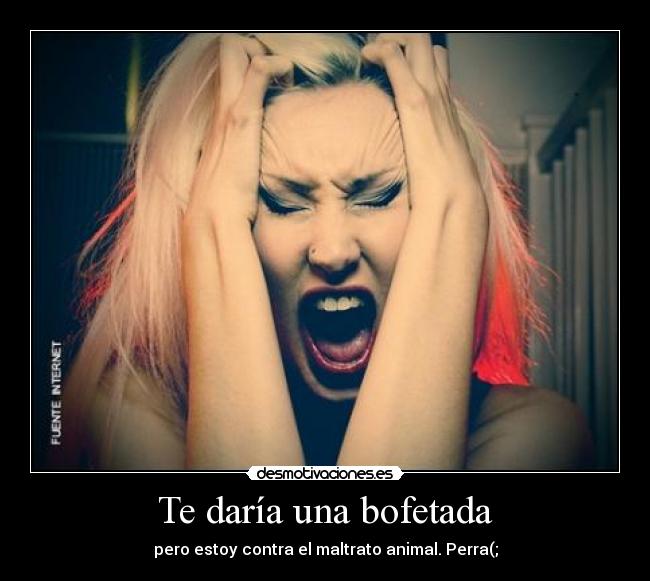 Te daría una bofetada - pero estoy contra el maltrato animal. Perra(;