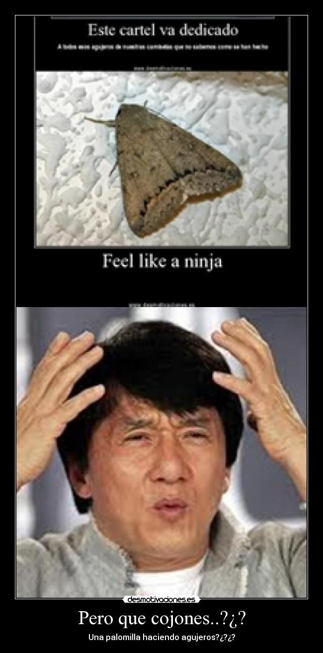 Pero que cojones..?¿? - Una palomilla haciendo agujeros?¿?¿?