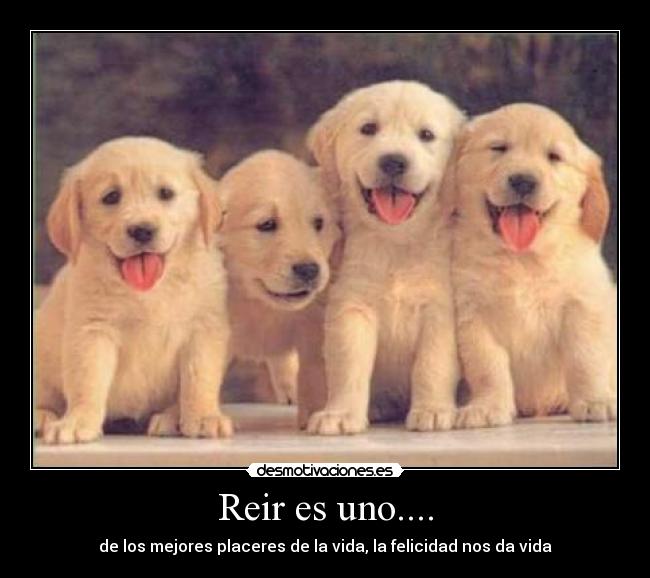 carteles reir desmotivaciones