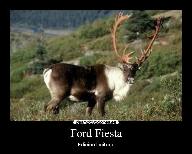 Ford Fiesta - Edicion limitada