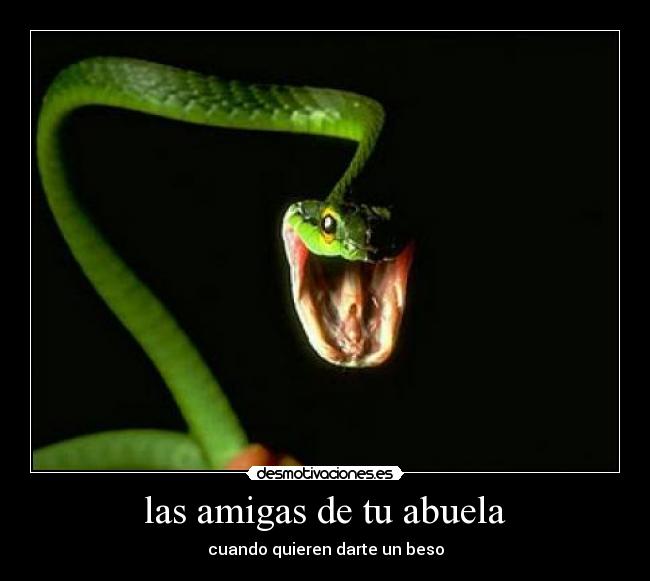 las amigas de tu abuela -