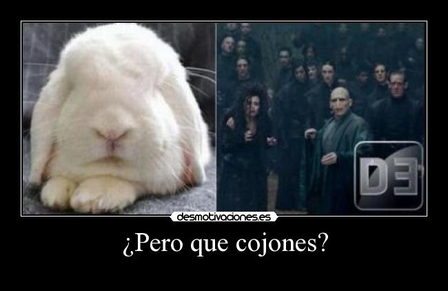 ¿Pero que cojones? -