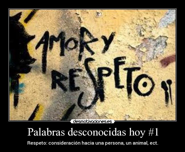 Palabras desconocidas hoy #1 - Respeto: consideración hacia una persona, un animal, ect.