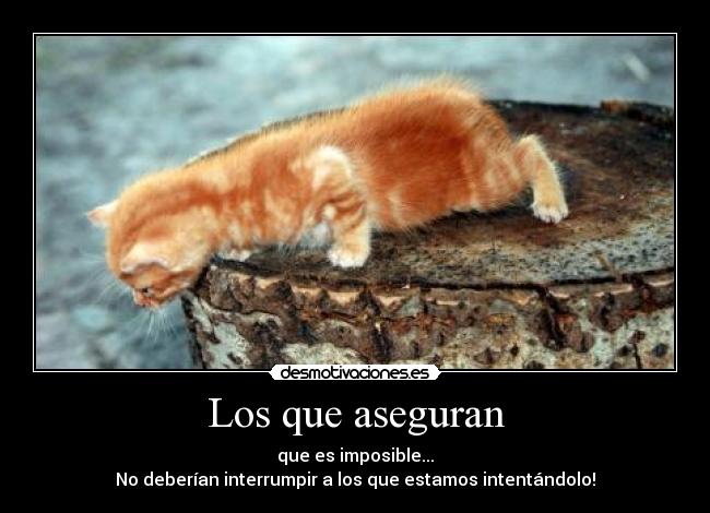 Los que aseguran - que es imposible...
No deberían interrumpir a los que estamos intentándolo!