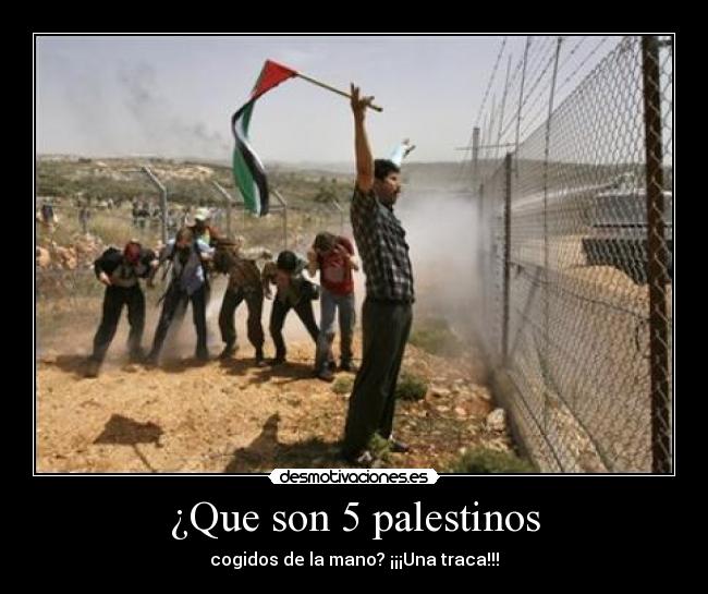 ¿Que son 5 palestinos -