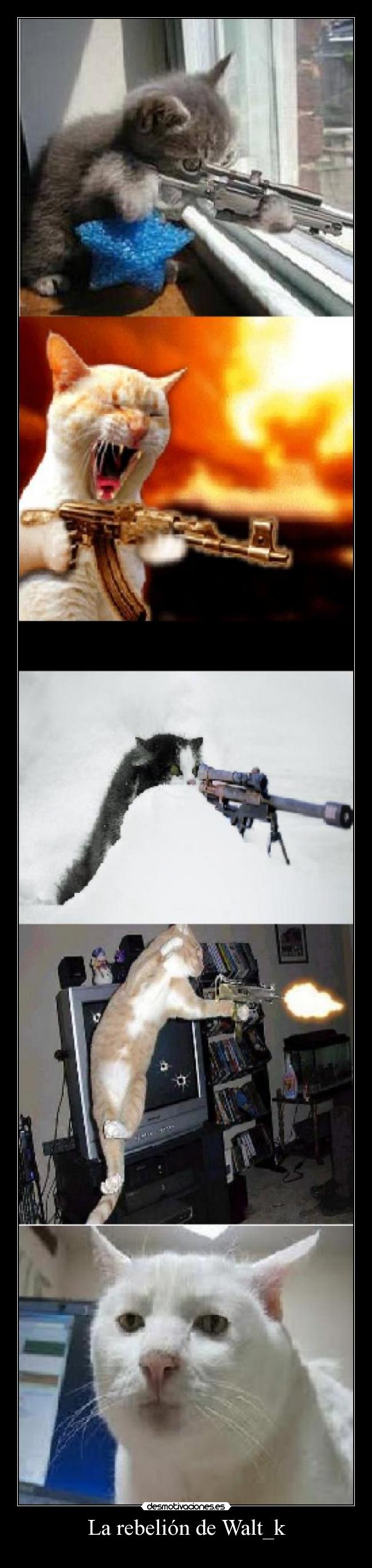 La rebelión de Walt_k - 
