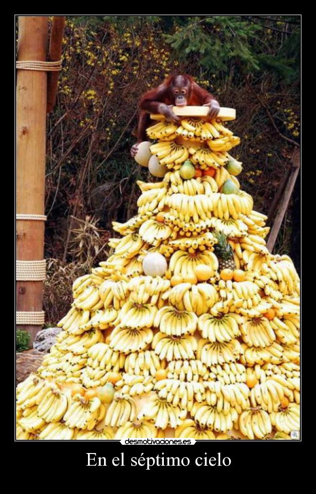 En el séptimo cielo -