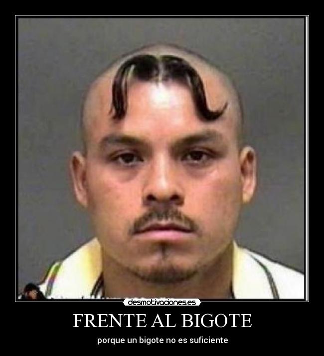 FRENTE AL BIGOTE - 