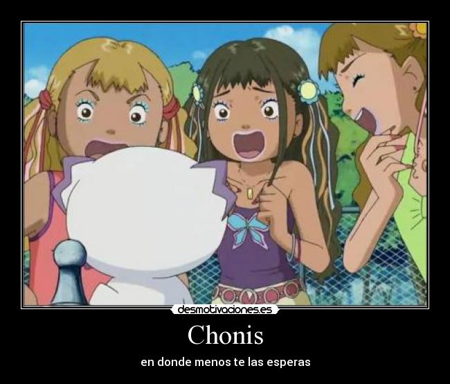 Chonis - 