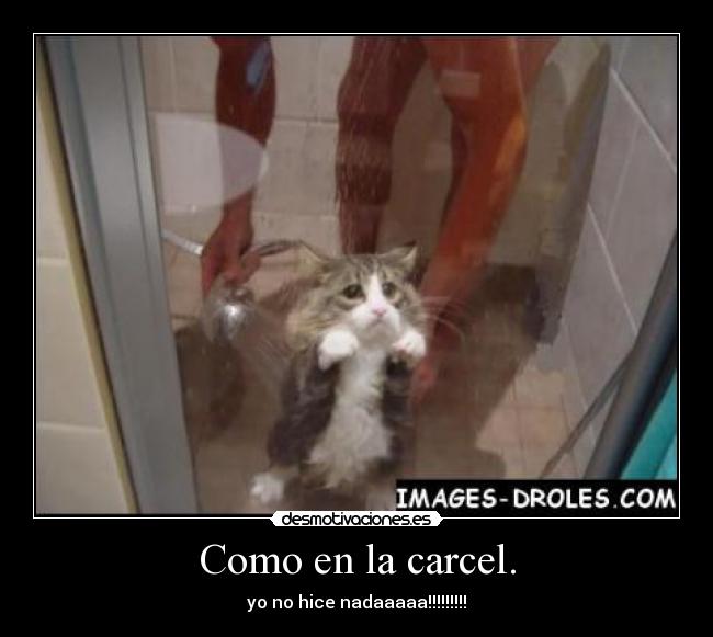 Como en la carcel. - yo no hice nadaaaaa!!!!!!!!!